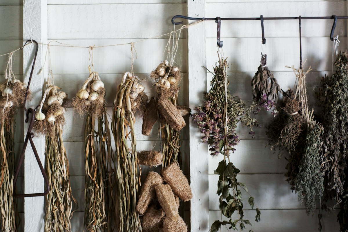 Cultivo de hierbabuena en maceta